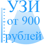   700 